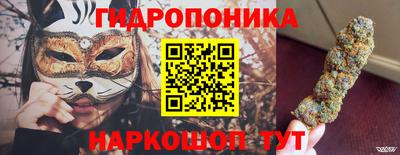 молекула духа Сланцы