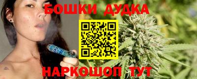 молекула духа Сланцы